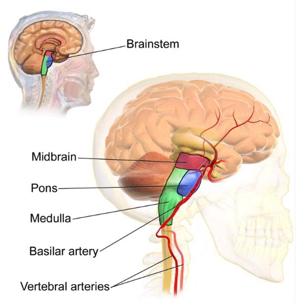 Progressive Bulbar Palsy